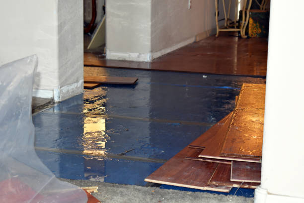 Professional Basement Flood Cleanup technician working in Mosherville, MI